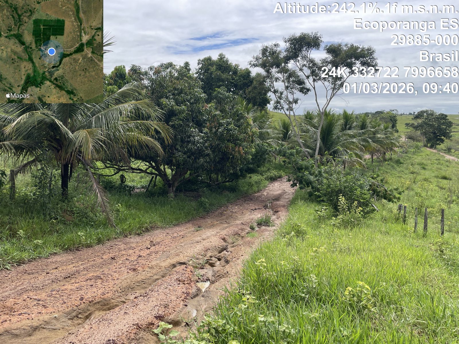 Estrada de acesso na fazenda